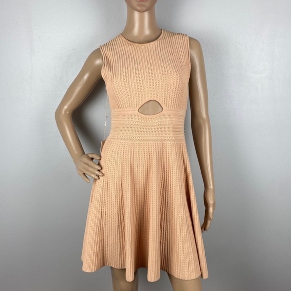 NEW RONNY KOBO REVOLVE SLEEVELESS SKATER MINI DRESS - Picture 2 of 8